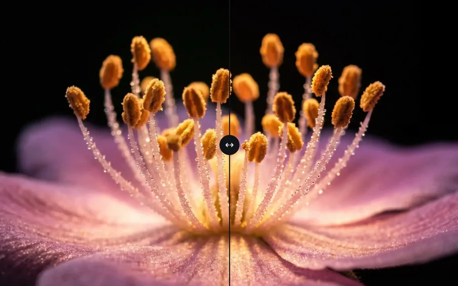 4K detail for display and print